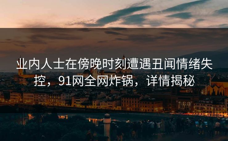 业内人士在傍晚时刻遭遇丑闻情绪失控,91网全网炸锅,详情揭秘
